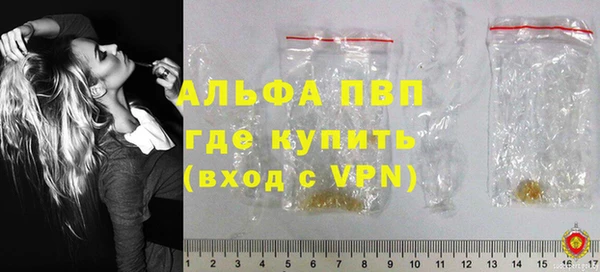 индика Нижневартовск