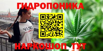 прущая мука Гай