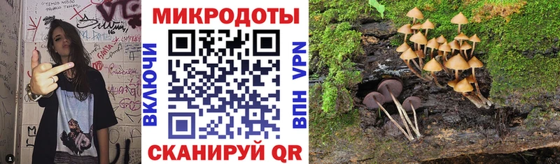 мега сайт  Павлово  Галлюциногенные грибы мицелий 