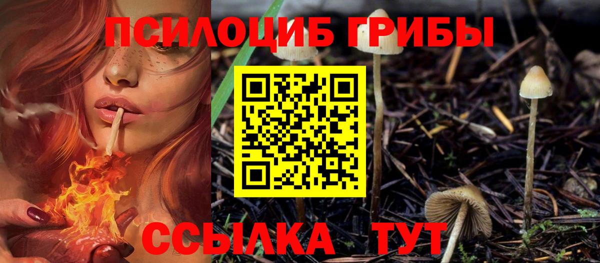 Галлюциногенные грибы Magic Shrooms Павлово