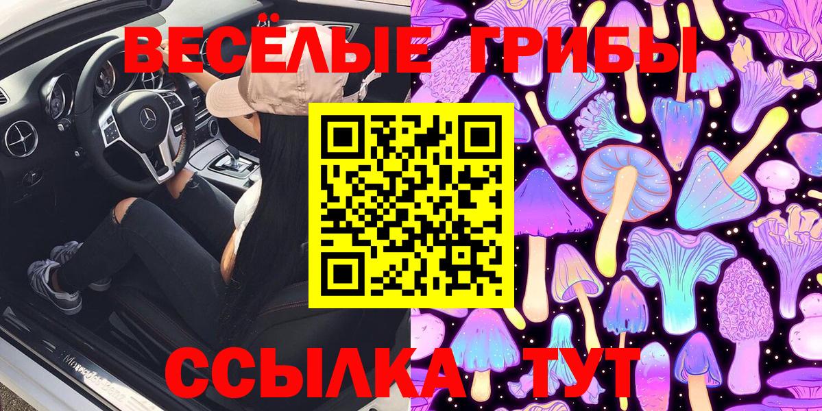 Павлово  Галлюциногенные грибы ЛСД  Вход с VPN 